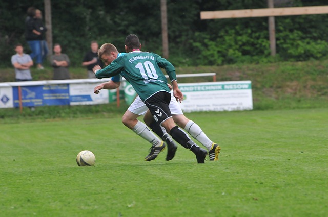 增添了新的 增添了新的