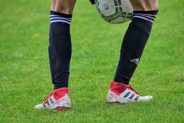 的共鸣与激 的共鸣与激