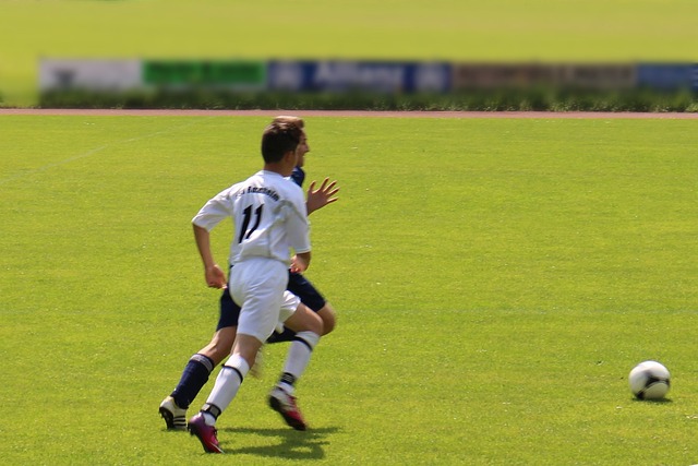 同样重要 同样重要