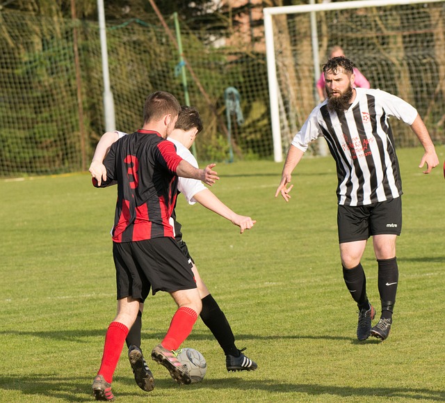 埃裏克森倒 埃裏克森倒