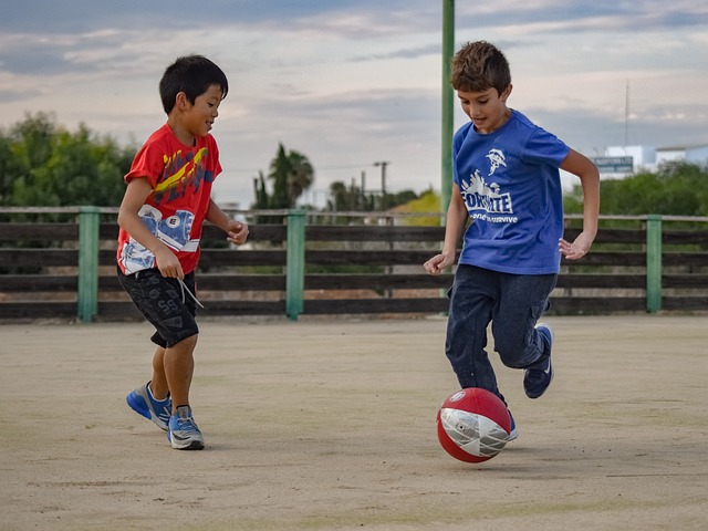 会费吸引了 会费吸引了