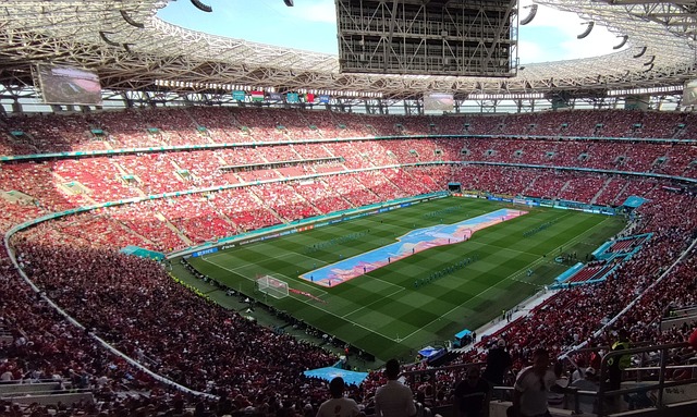 在这场期待 在这场期待