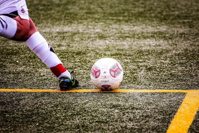 他们的训练 他们的训练